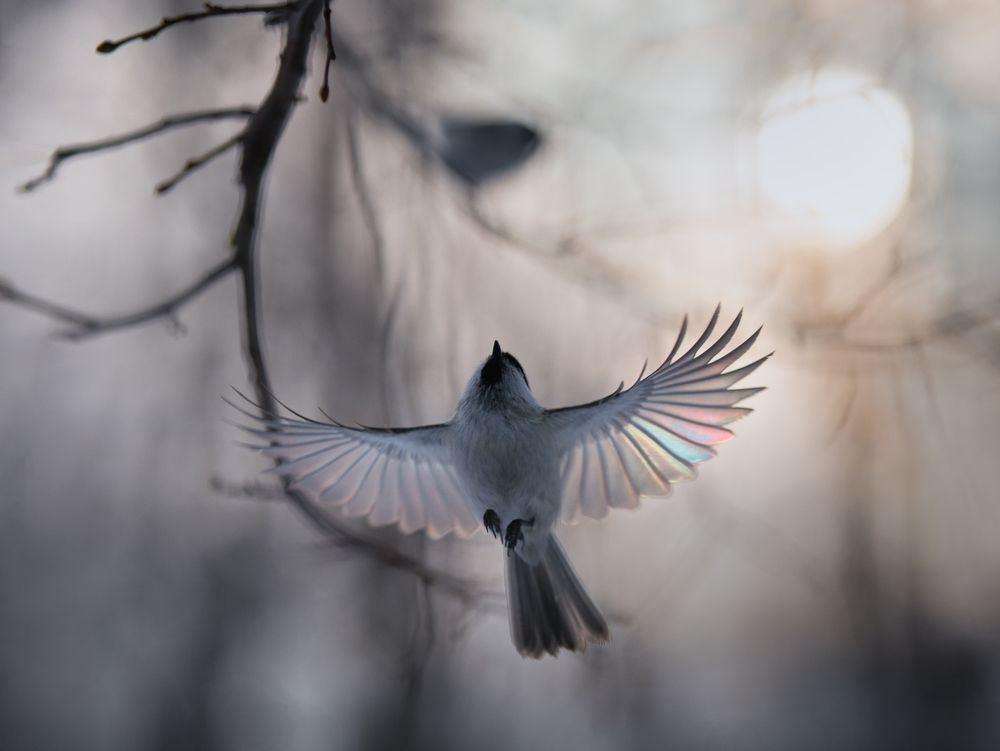 Photograph by Баранов Олег