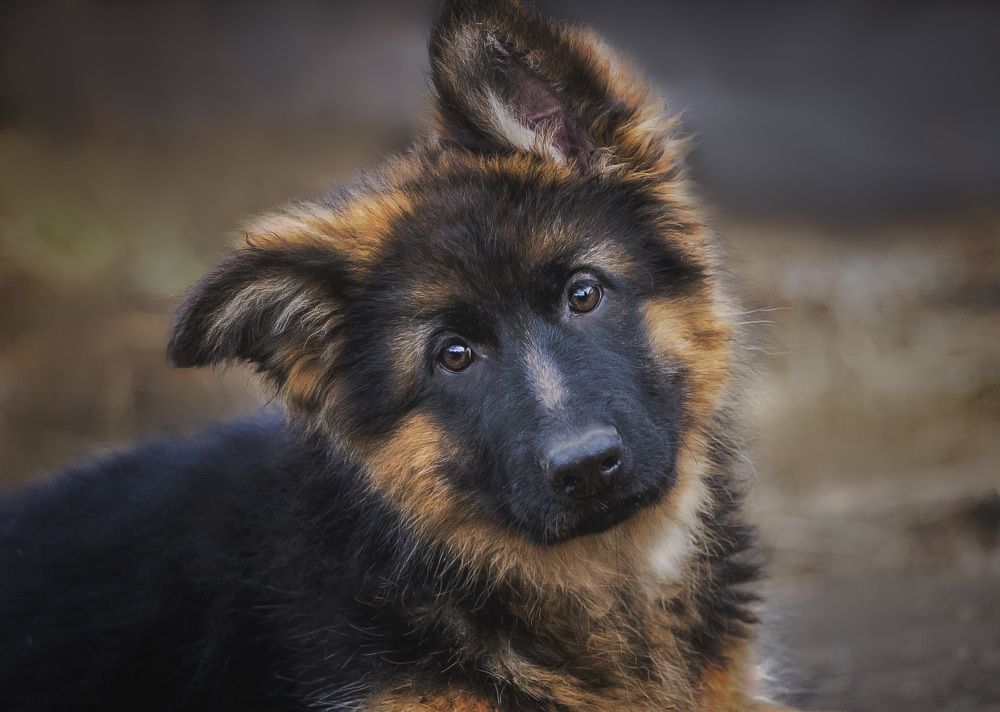 Photograph by Евгения Барановская