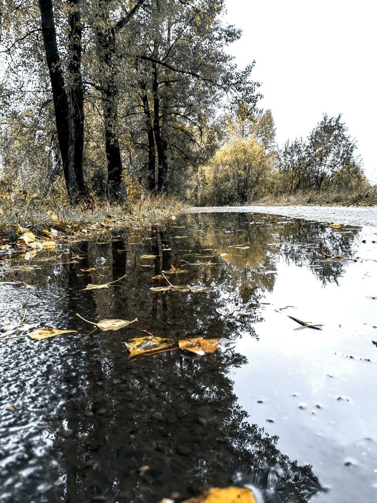 Photograph by Анна Горичева