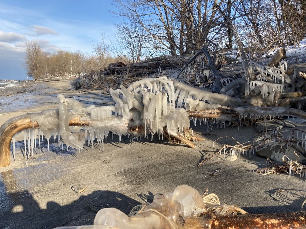 Ice Sculpture by Mother Nature