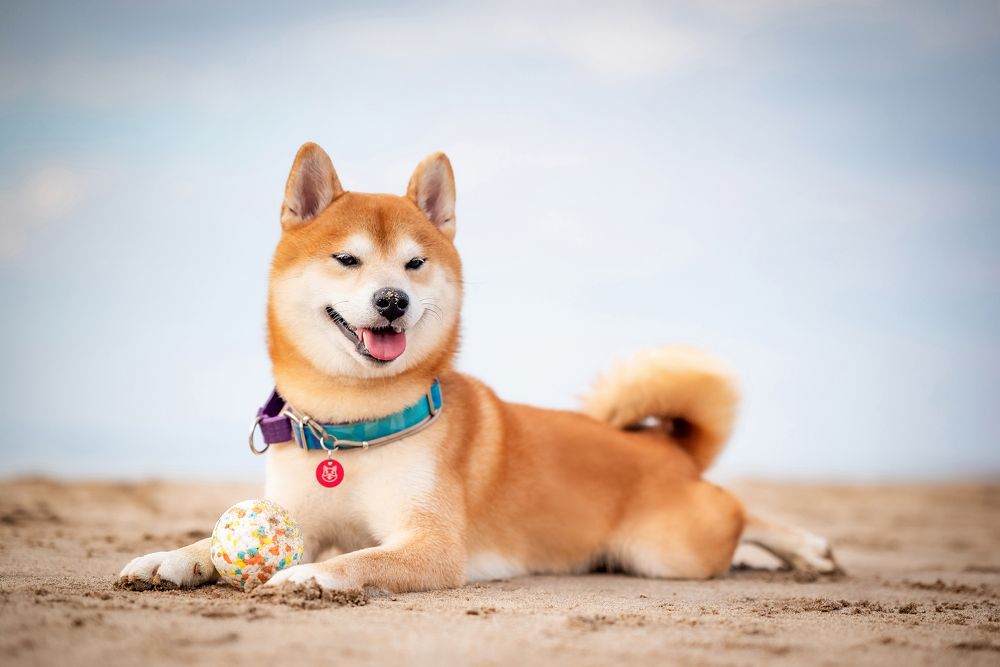 Photograph by Виктория Фоминых