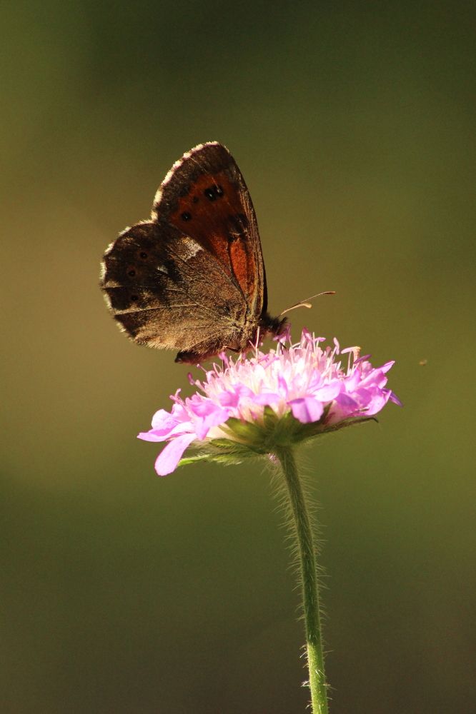 Photograph by Софья Белова