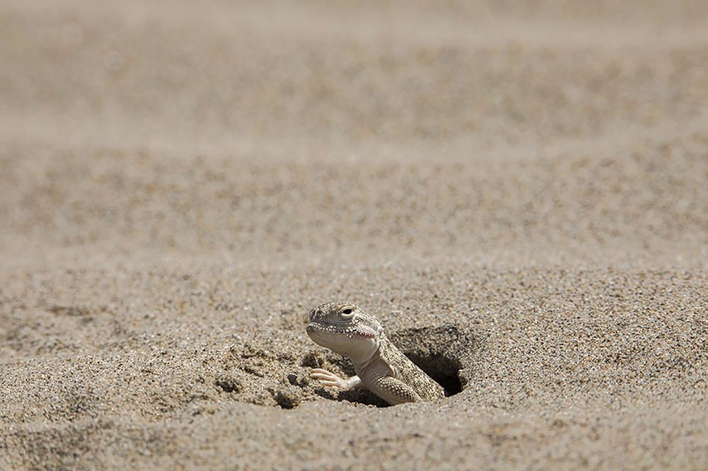 Photograph by Ирина Курьянова