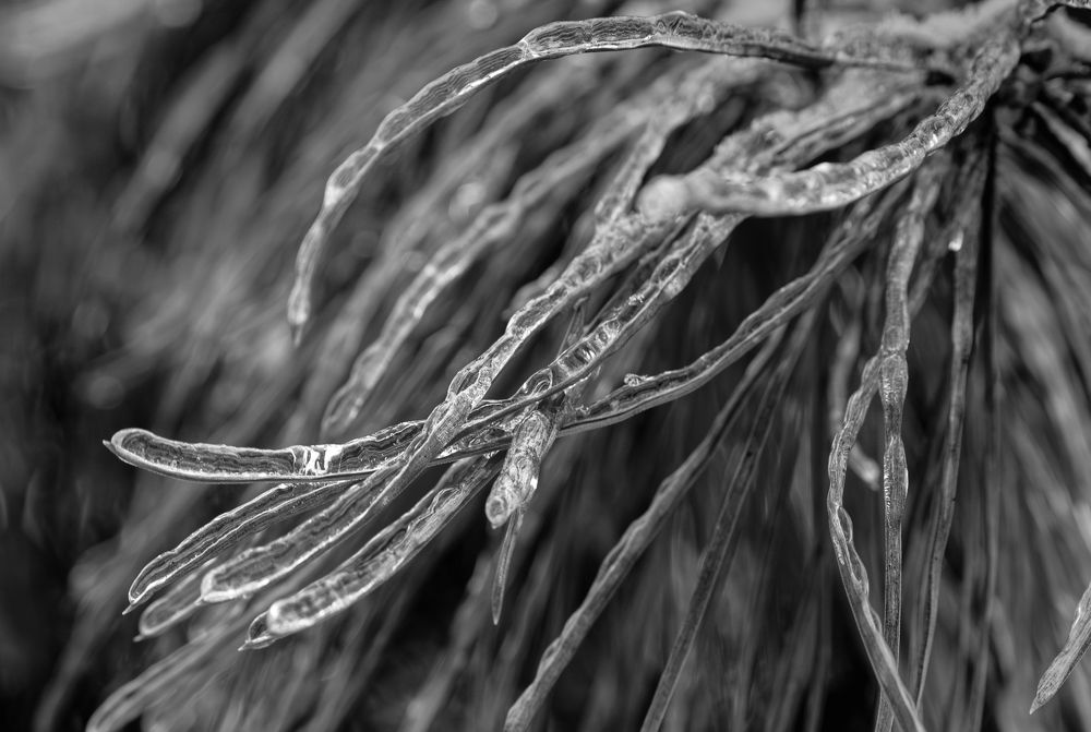 Photograph by Нурида Сорокоумова