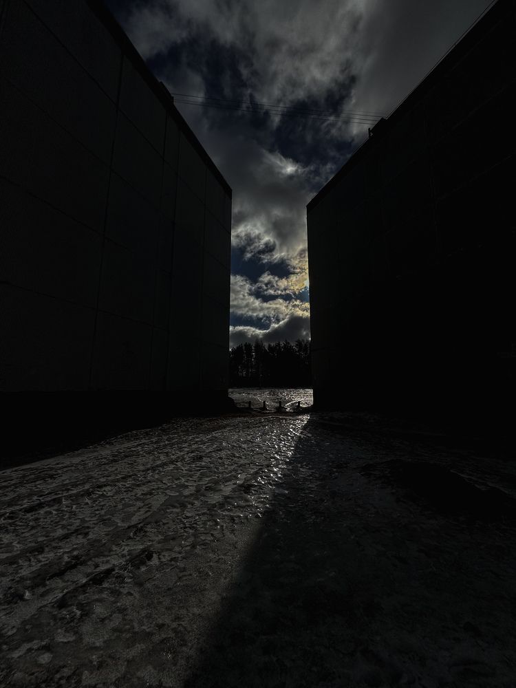Photograph by Алёна Мозжухина