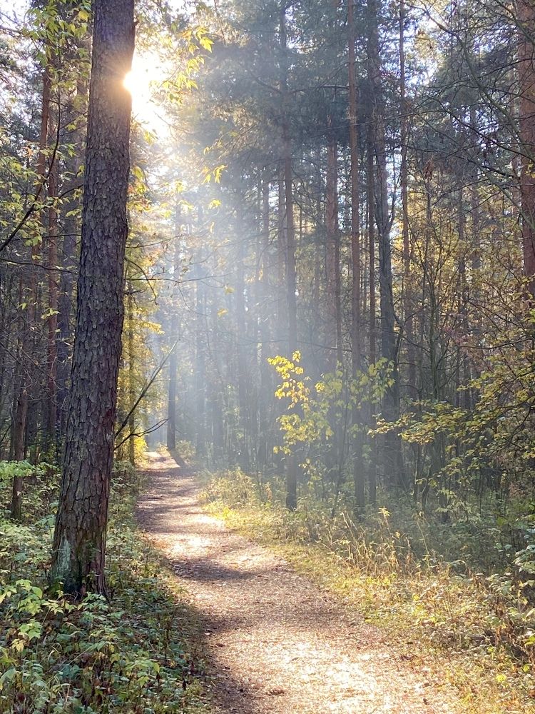 Photograph by Елена Макшеева