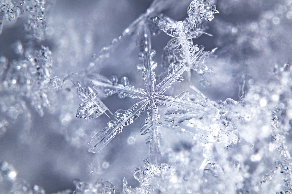 Photograph by Evgeny Vdovin