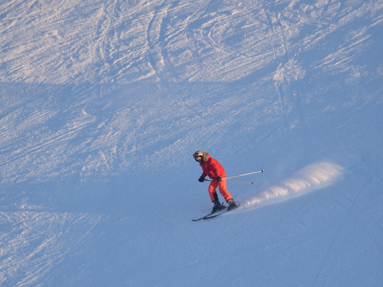 Photo #10346778