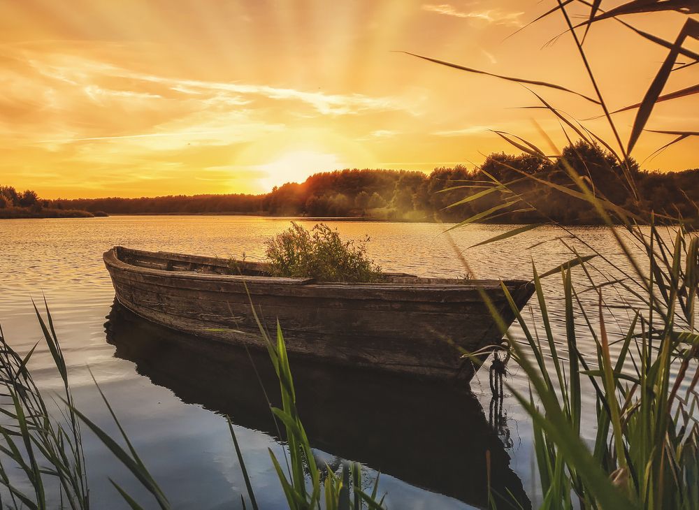 Photograph by Natalia Bolotenkova