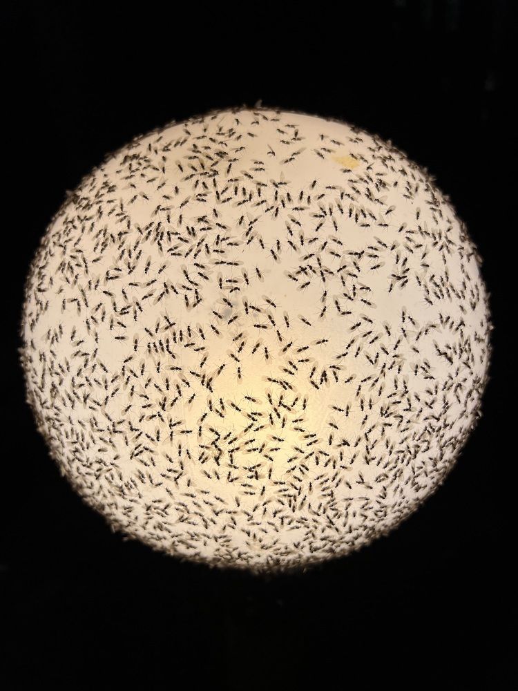 Photograph by Снежана Бирюкова