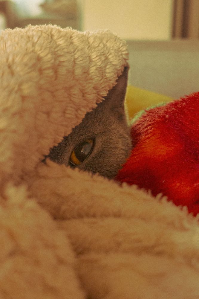 Photograph by Hayk Mkrtchyan