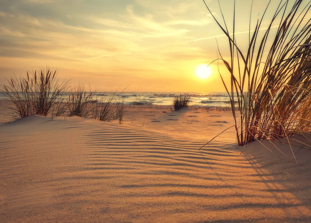 Photograph by Natalia Bolotenkova