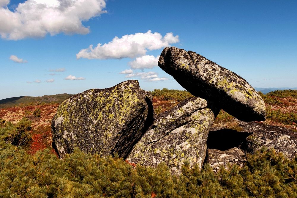 Photograph by Николай Шепелев