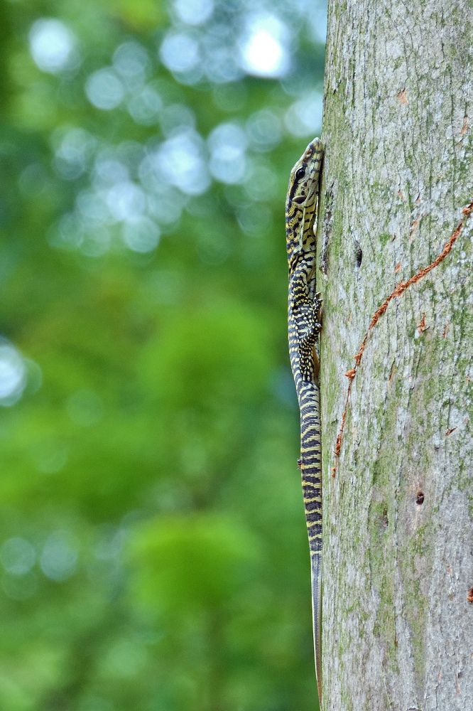 Photograph by AVISHEK MUKHERJEE