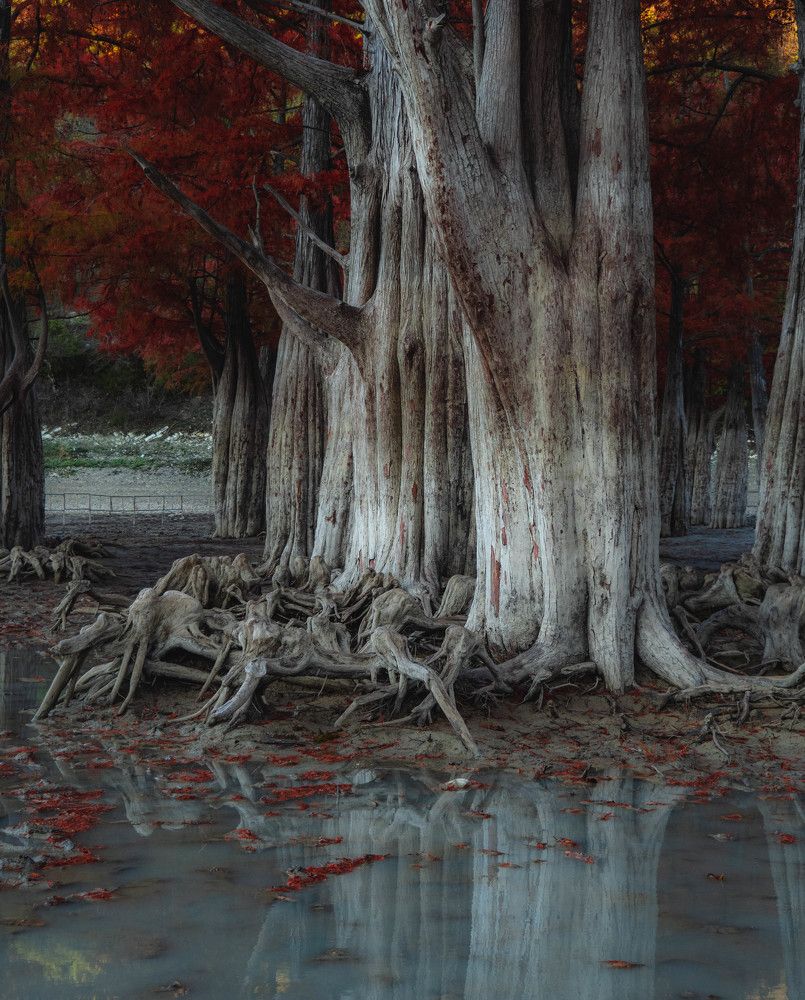 Photograph by Роман Кокорин