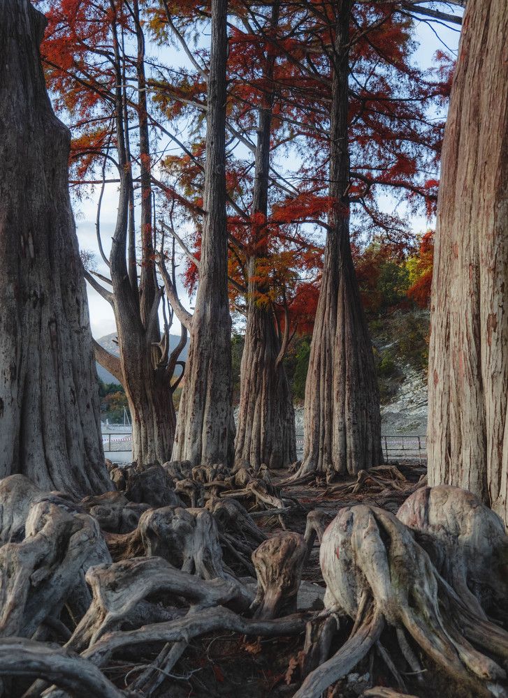 Photograph by Роман Кокорин