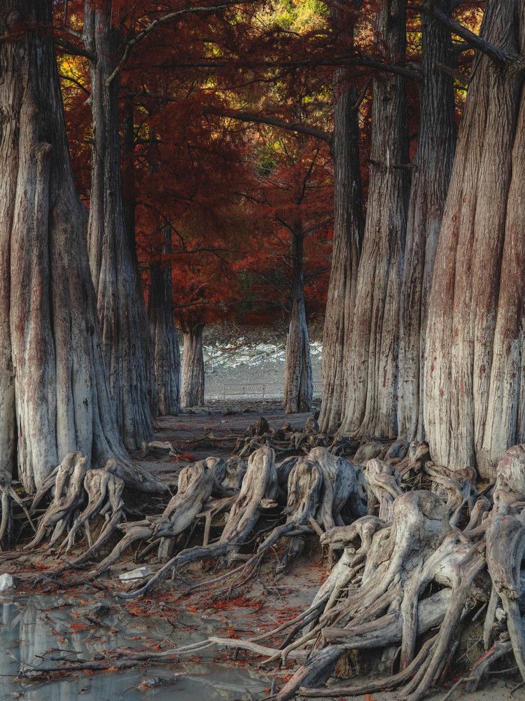 Photograph by Роман Кокорин