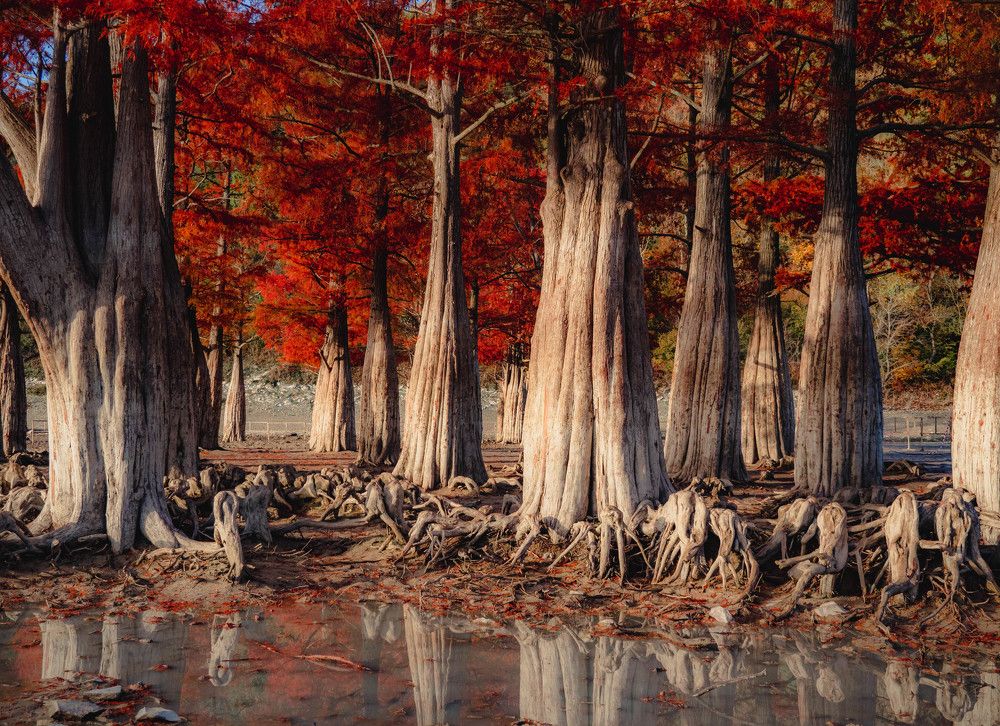 Photograph by Роман Кокорин