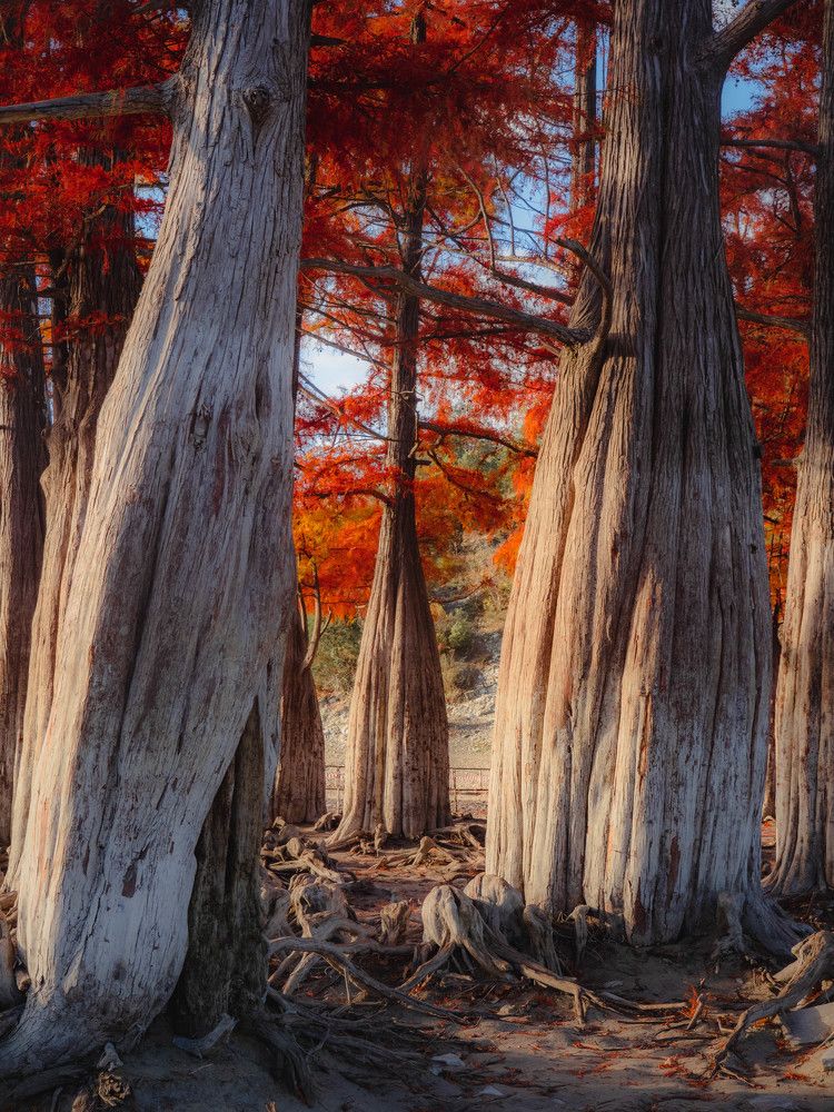 Photograph by Роман Кокорин