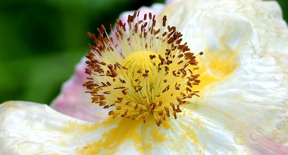 Photograph by Жанна Нечаева