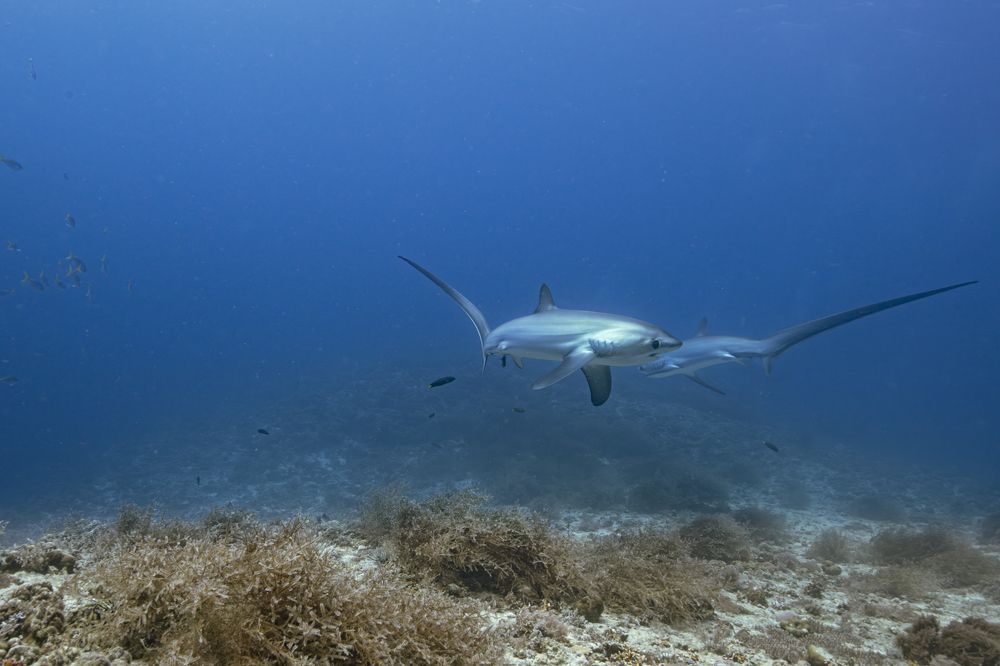 Photograph by HITOMI TSUCHIYA