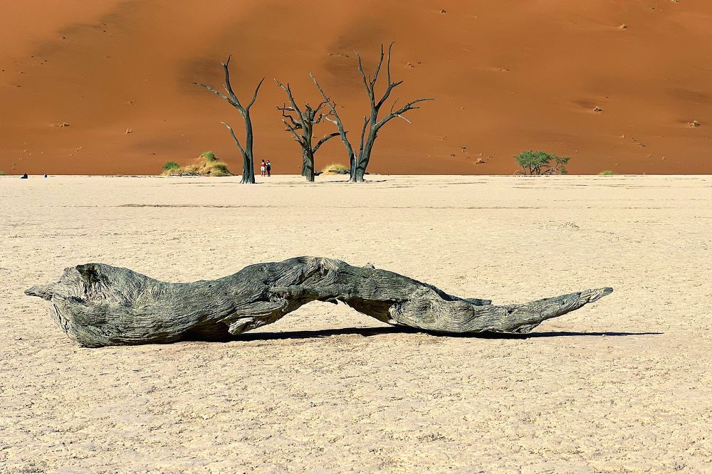 Photograph by Ирина Худзинская