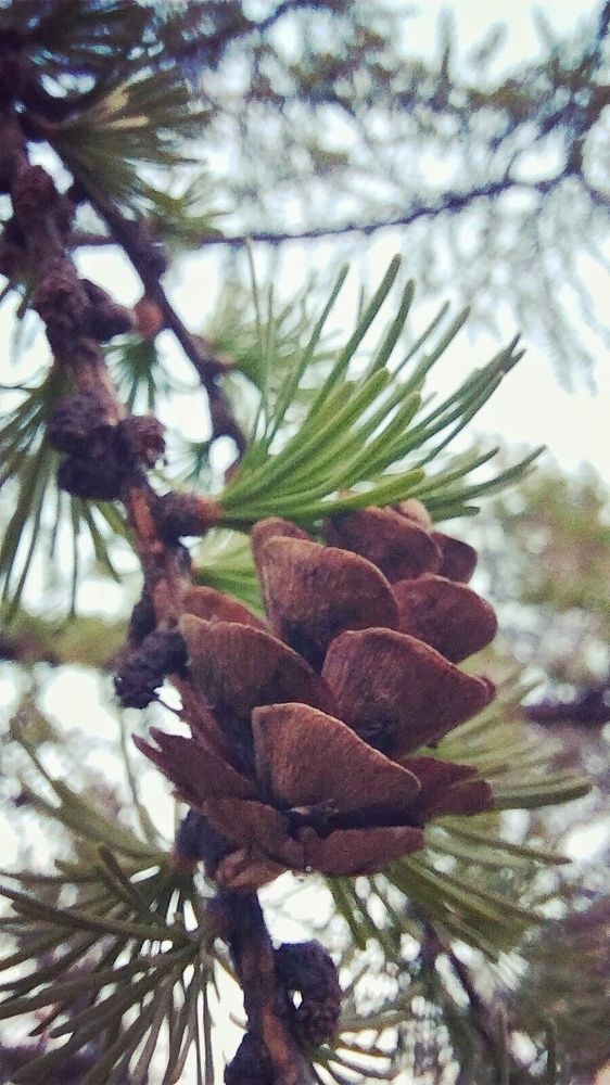 Photograph by Даниил Коскин