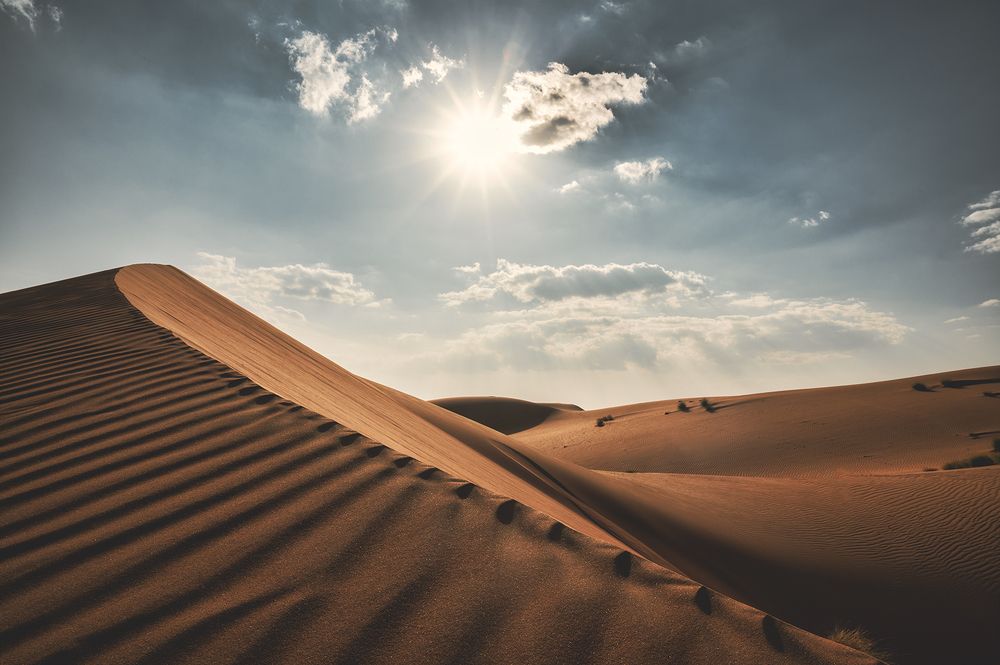 Oman desert