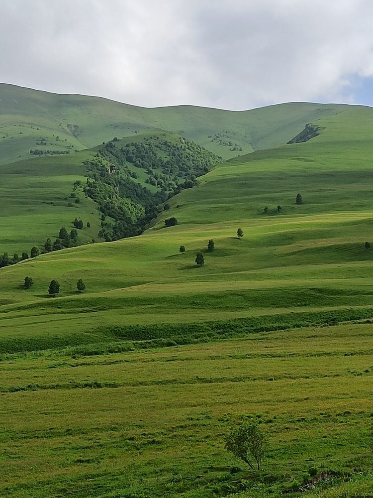 Photograph by Людмила Фурсова