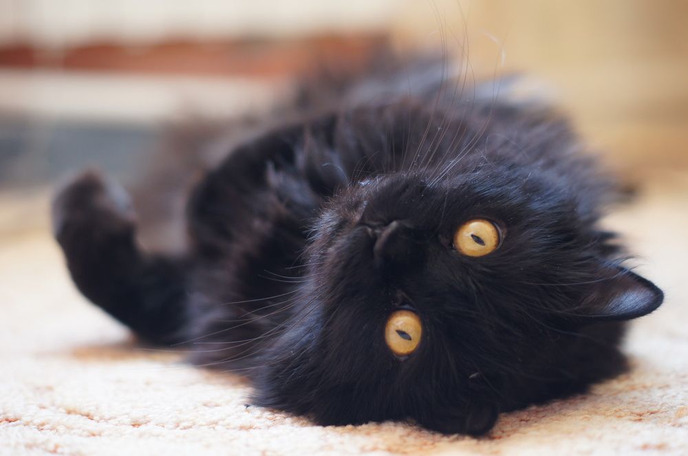 Photograph by Анна Дудко