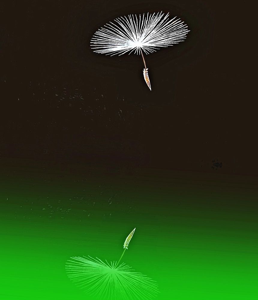 Концептуальная фотография