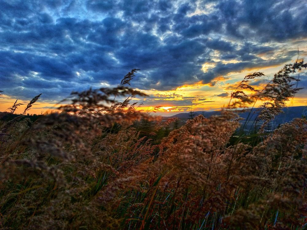 Photograph by Анна Дудко