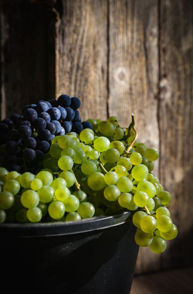 Photograph by Олеся Филатова