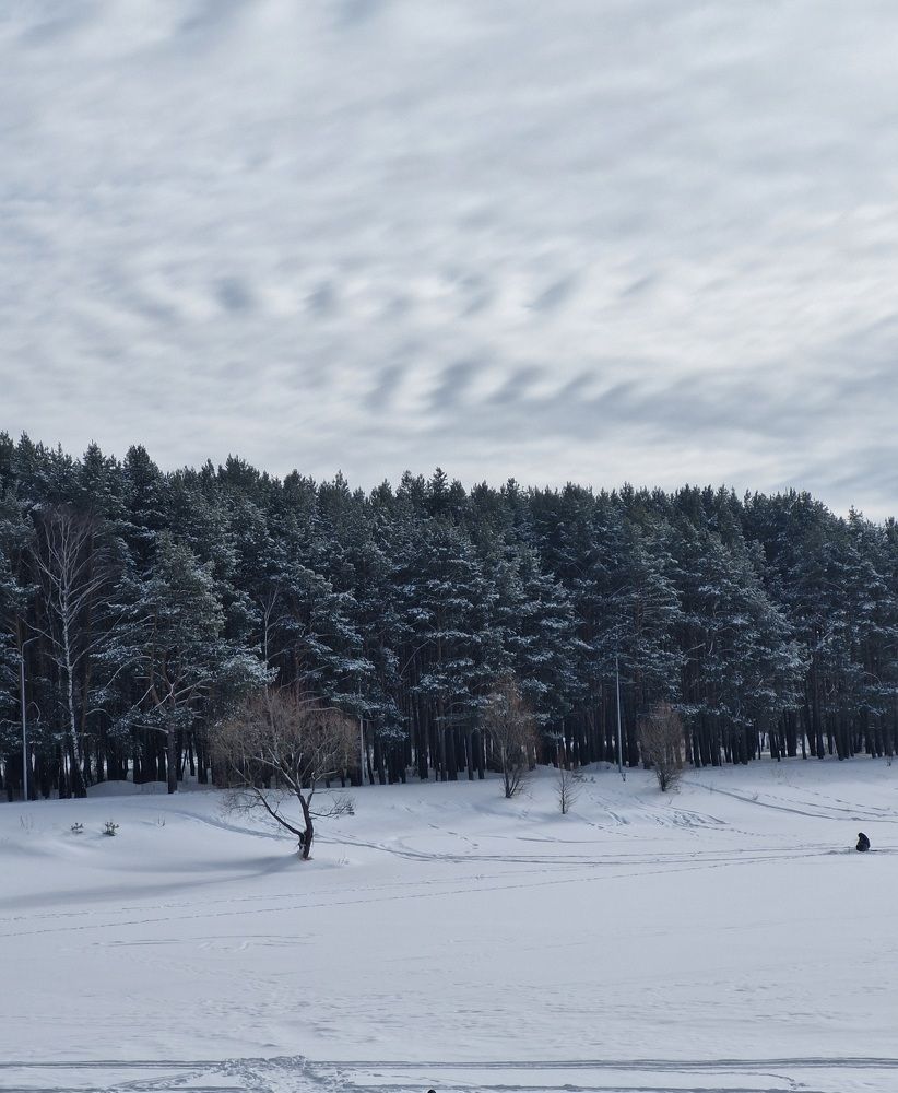 Photograph by Олеся