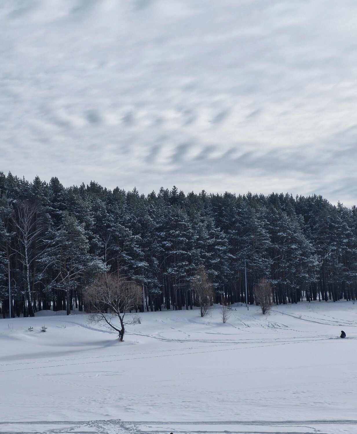 Photo #10347248