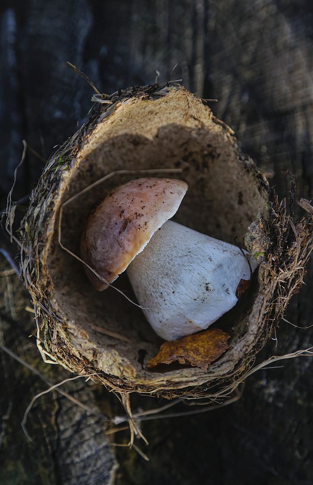 Photograph by Олеся Филатова