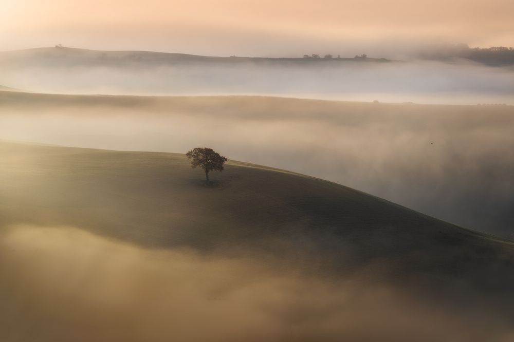 Photograph by Janira