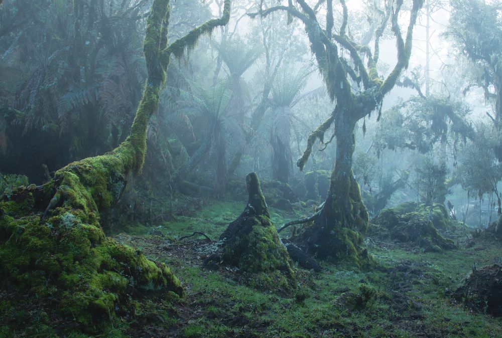 Photograph by Valdir Hobus