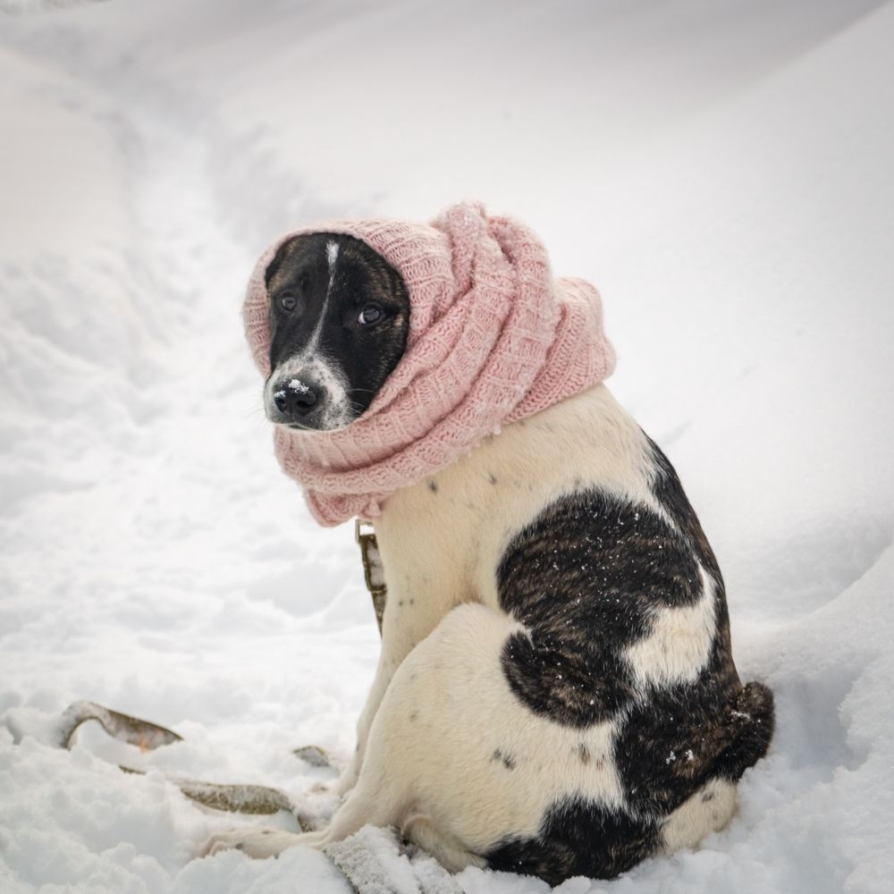 Photograph by Dina Damotseva