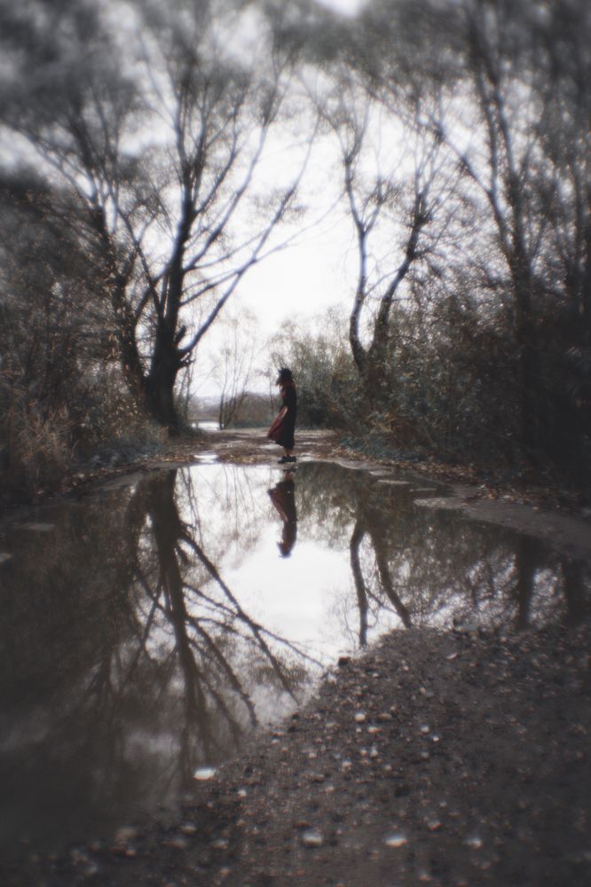 Photograph by Елена Леонидовна