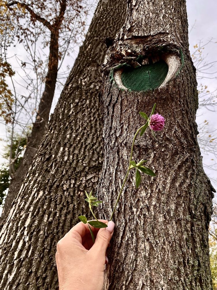 Фотография автора Gala Timaeva