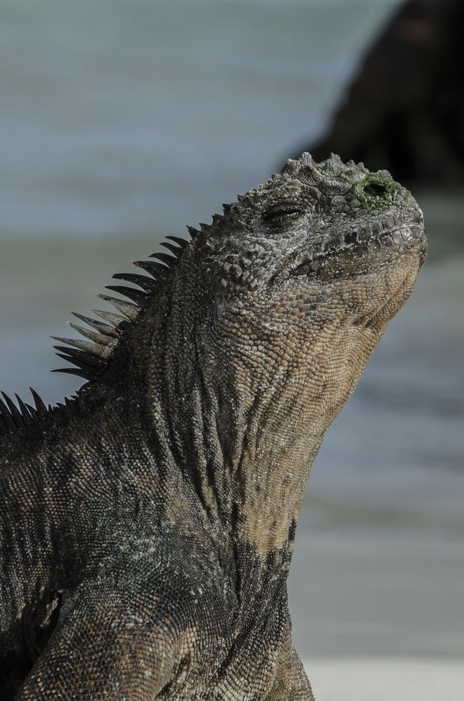 Photograph by ANTONIO RUVER BANDEIRA