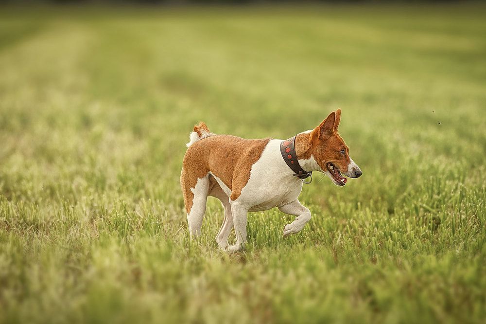Фотография автора Iurii Butakov