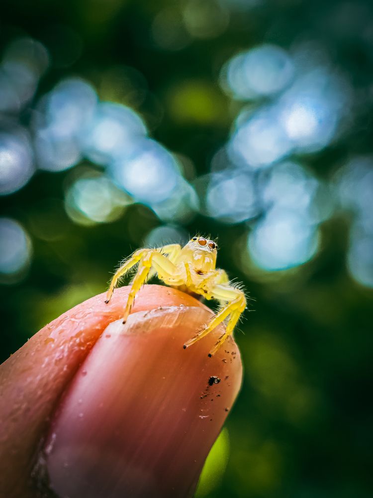 Photograph by Shubham Gujar