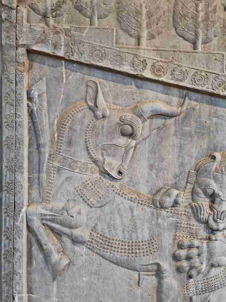 Photograph by Hossein Sadeghi