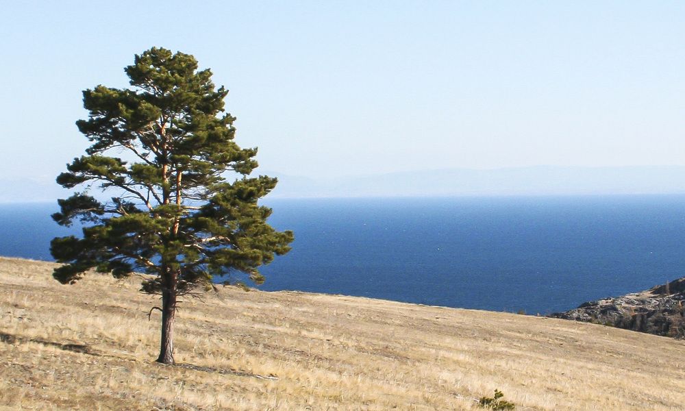 Символичное одиночество