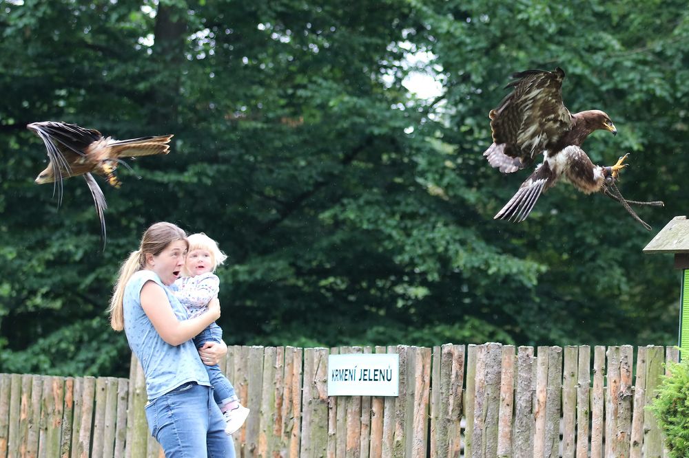 Photograph by Dagmar Vopolková