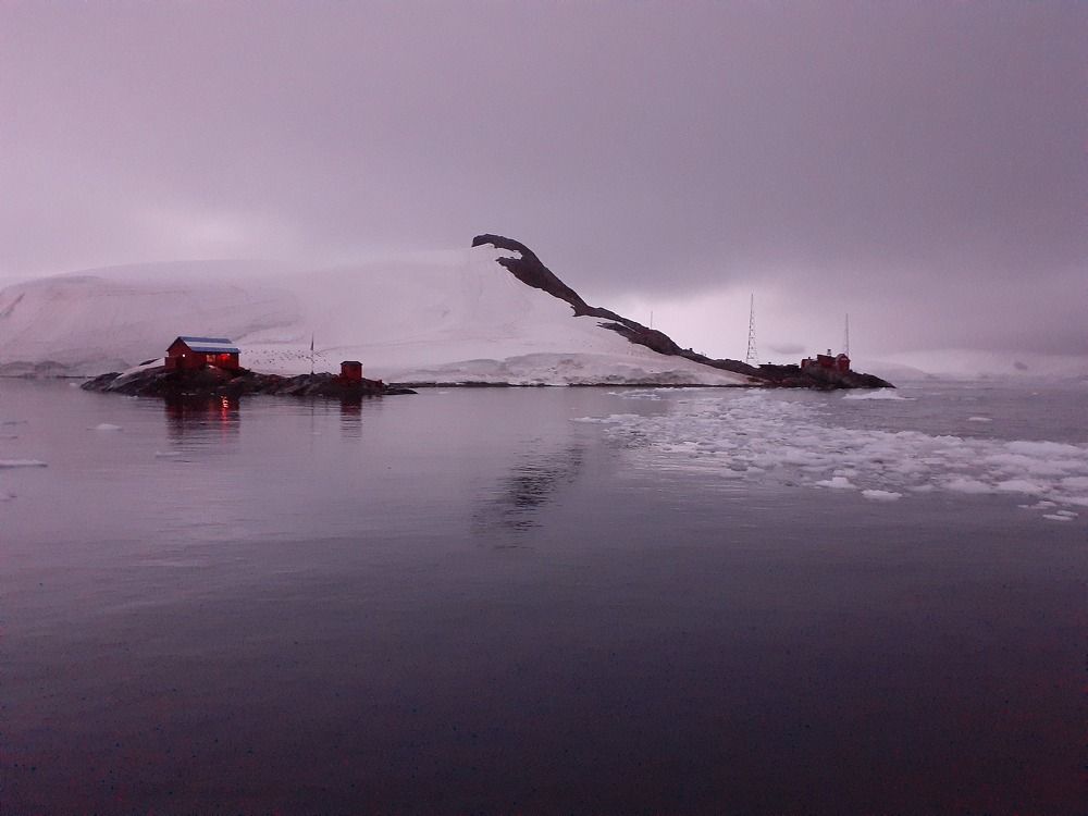 Photo #10347561