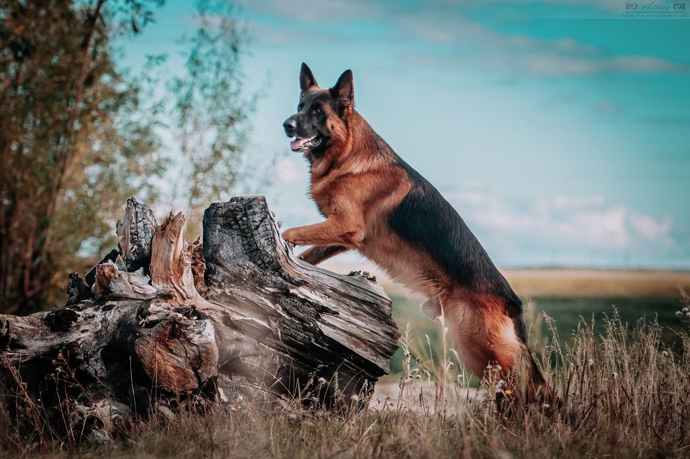 Photograph by София Зайцева