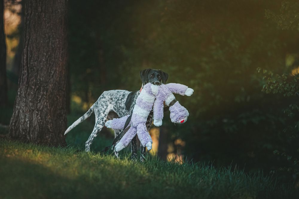 Photograph by София Зайцева